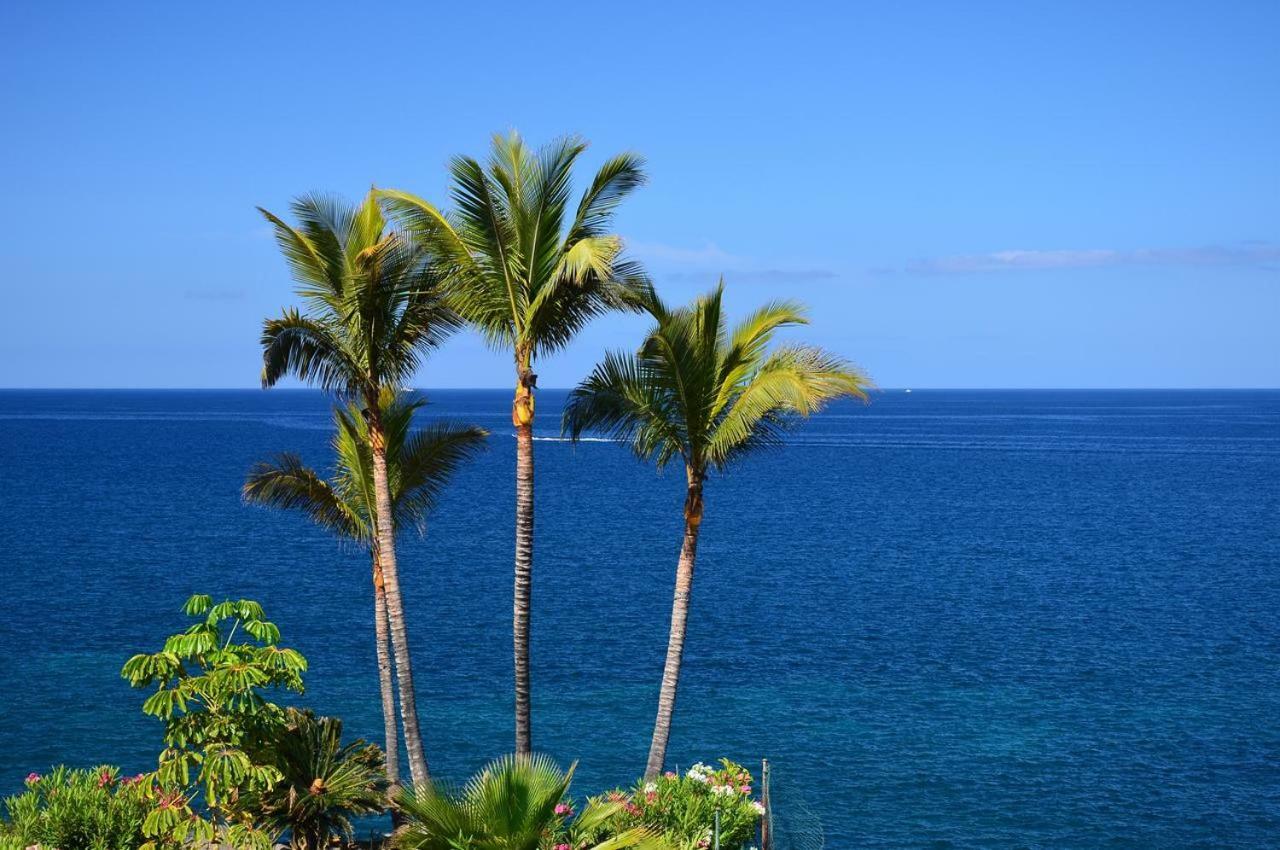 Relax Tropical Las Americas - Tenesol Rentals Πλάγια ντε λας Αμέρικας Εξωτερικό φωτογραφία